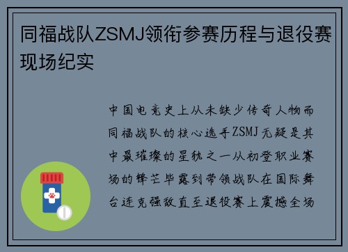 同福战队ZSMJ领衔参赛历程与退役赛现场纪实
